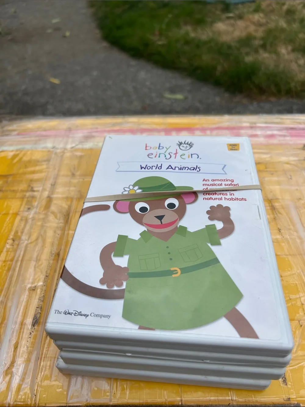 Baby Einstein World Animals DVD - White (4DVDS)